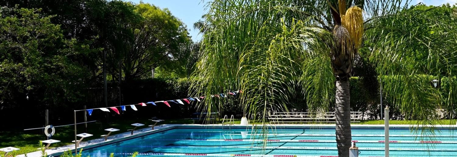 Swimming Pool (Full image)